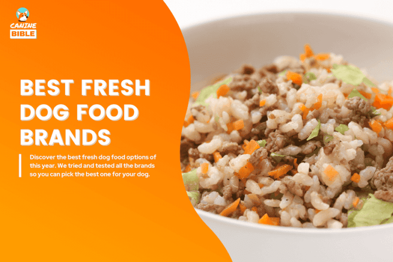 Best Fresh Dog Foods In 2025: Vet-Recommended Brands [Dog-Tested]
