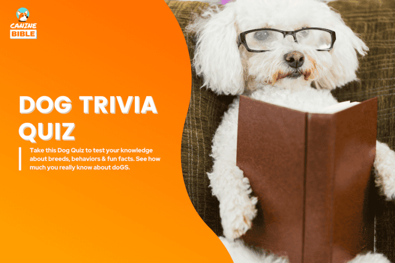 Bing Dog Quiz: Trivia Questions to Test Your Knowledge of Dogs