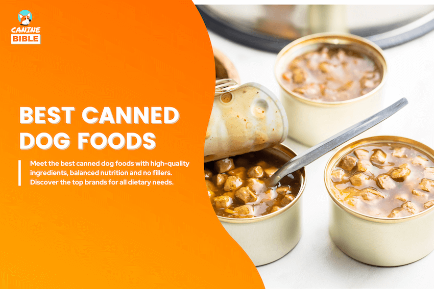 best canned dog food