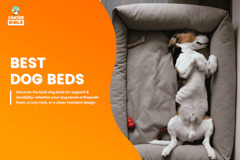 best dog beds