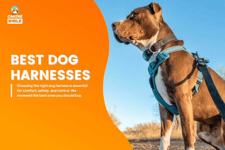 BEST DOG HARNESSES