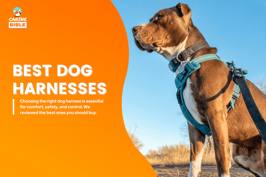 BEST DOG HARNESSES