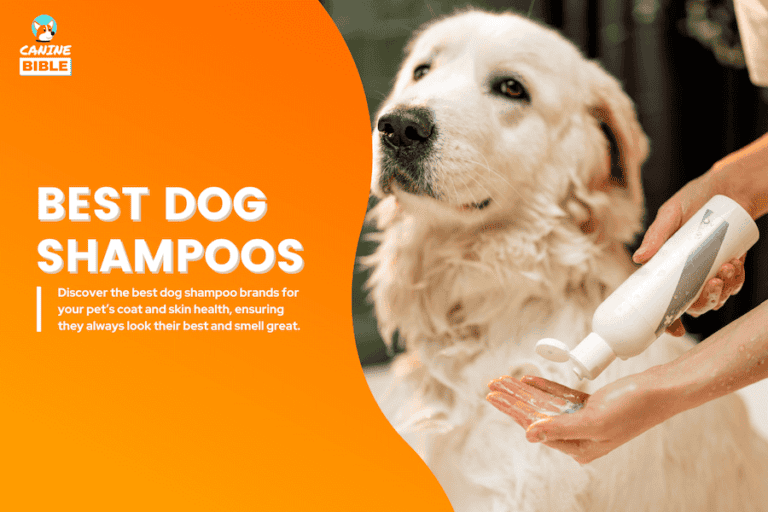 Best Dog Shampoos of 2025: Vet-Recommened Brands