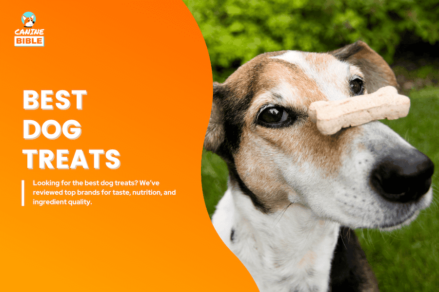 best dog treats