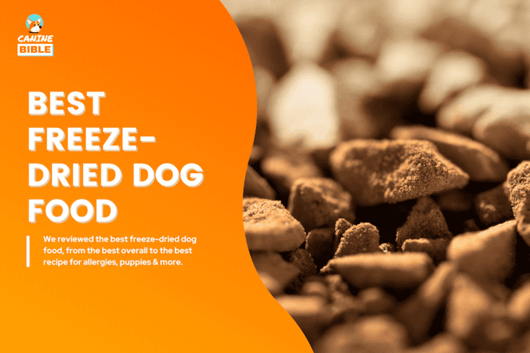 Best Freeze-Dried Dog Foods of 2025: According to Vets