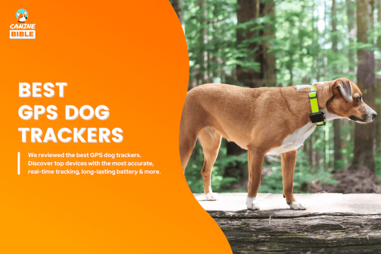 best gps dog trackers