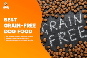 Picture of The 15 Best Grain-Free Dog Foods 2026: Vet-Approved - Canine Bible