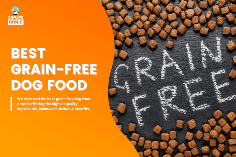 best grain free dog food