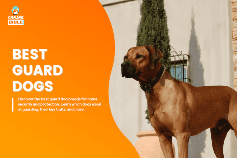 best guard dogs