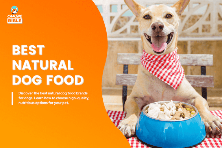 best natural dog foods