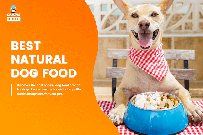 best natural dog foods