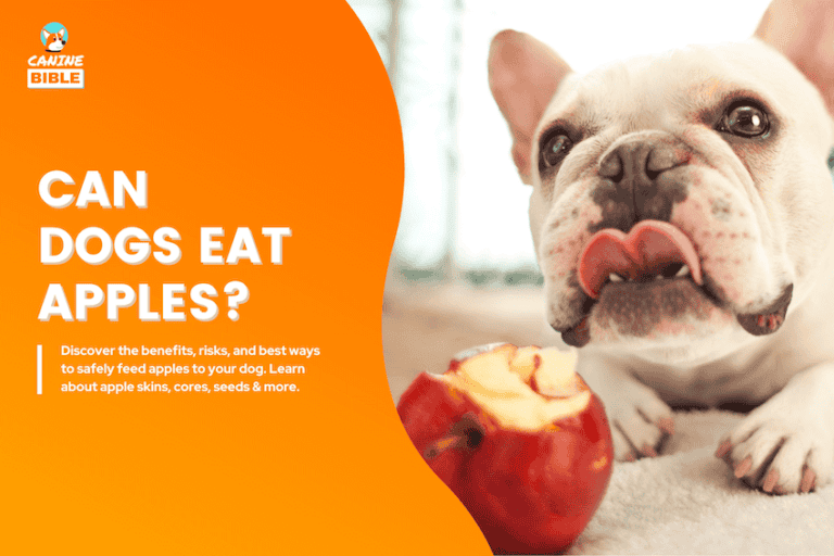 can dogs eat apples