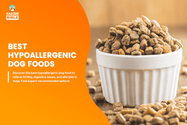 Best Hypoallergenic Dog Foods