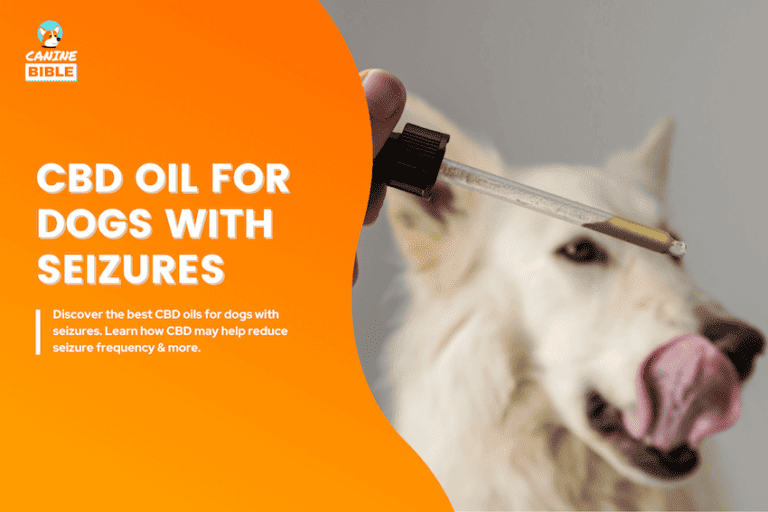 BEST CBD OIL FOR DOGS WITH seizures