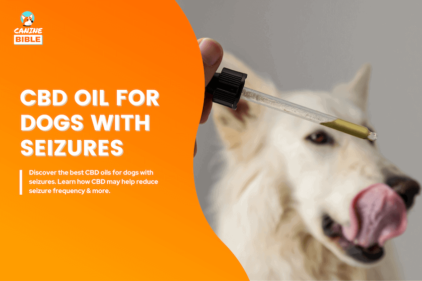 BEST CBD OIL FOR DOGS WITH seizures