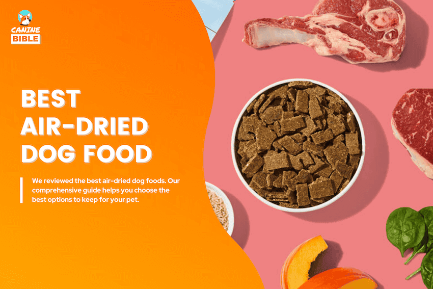 Best Air-Dried Dog Foods