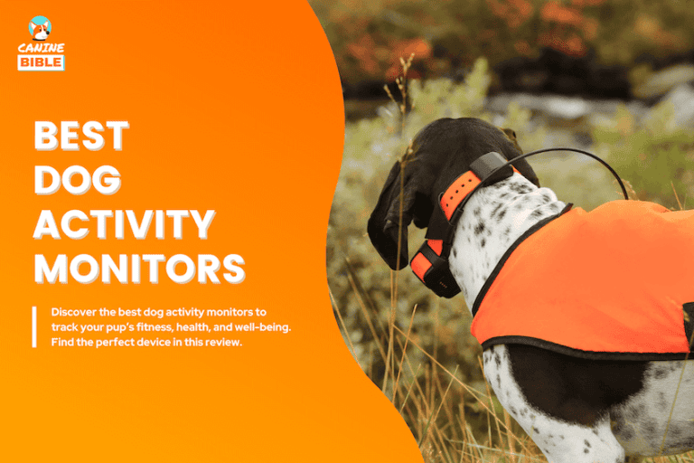best dog activity monitor