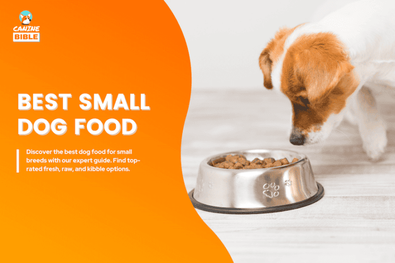Best Food For Small Dogs