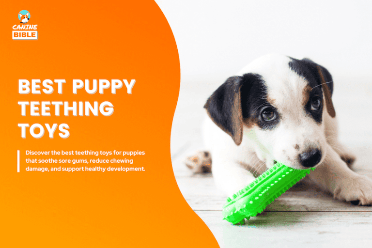 22 Best Teething Toys For Puppies 2025: Review & Guide