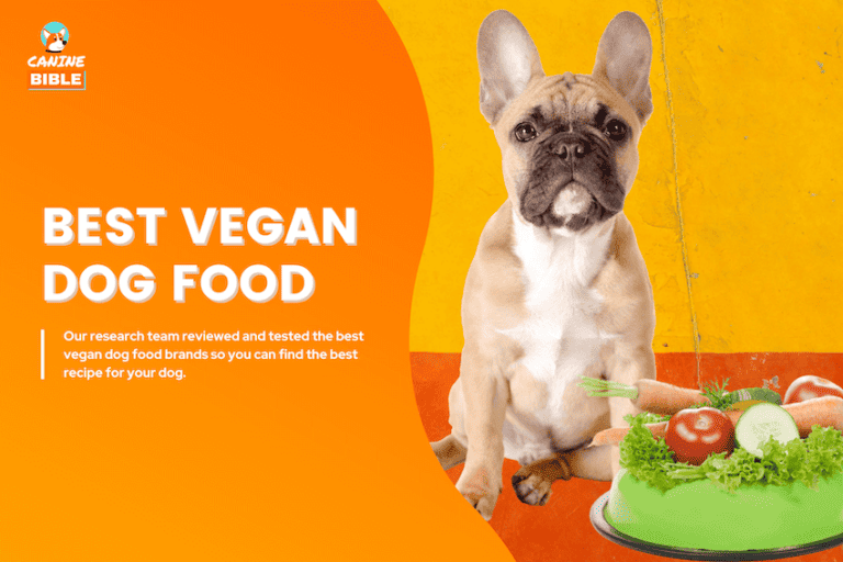 best vegan dog food