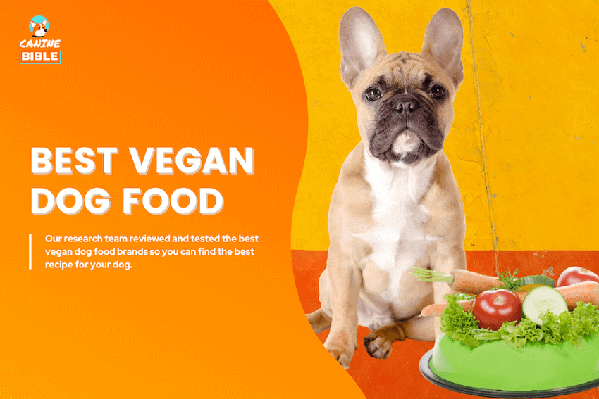 best vegan dog food