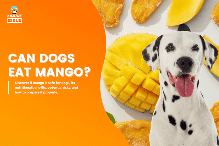 can dogs eat mango