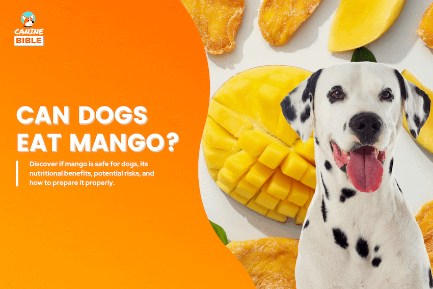can dogs eat mango