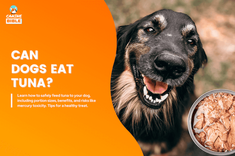 can dogs eat tuna