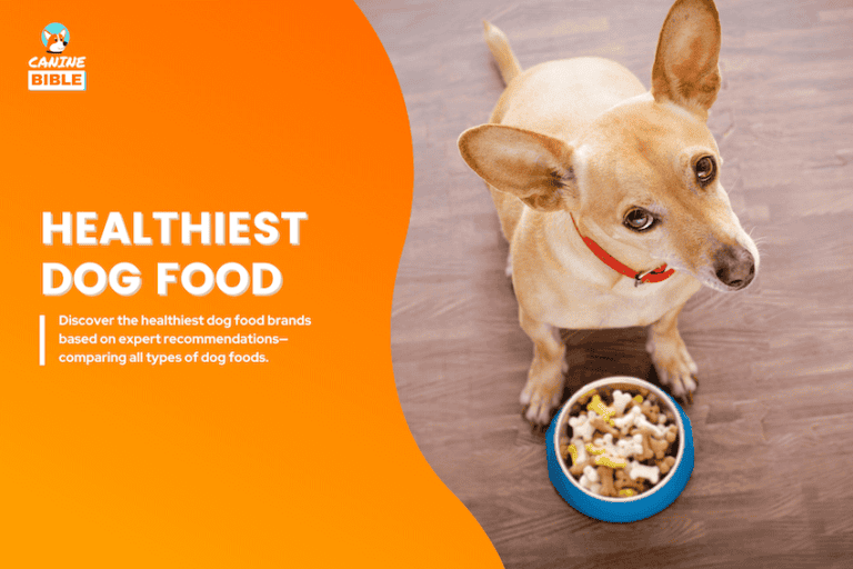 15 Healthiest Dog Foods in 2025: Vet-Recommended Brands