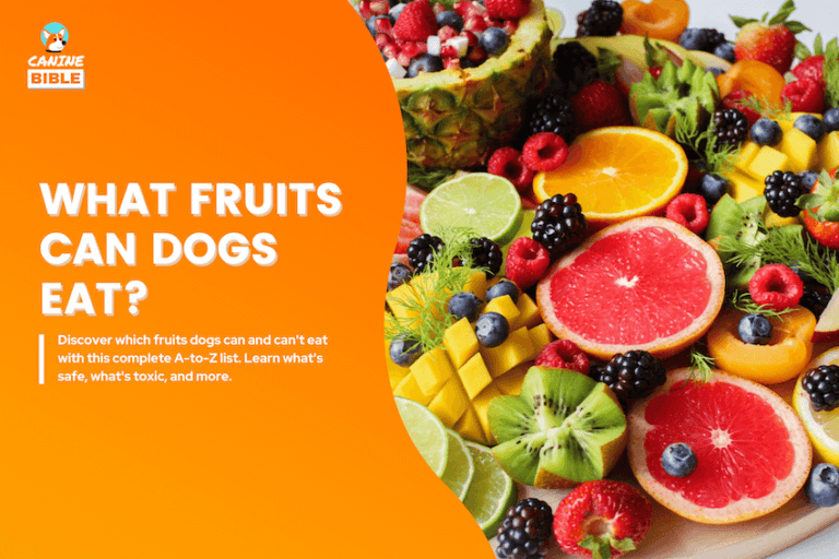 Fruits Dogs Can & Can’t Eat (A to Z Complete List)