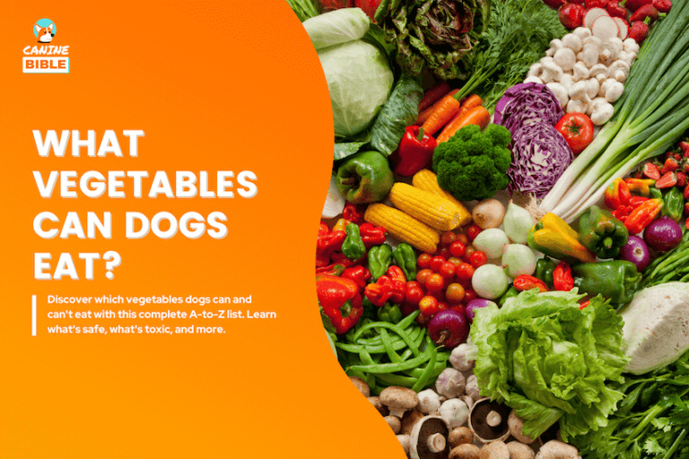 Vegetables Dogs Can & Can’t Eat (A to Z Complete List)