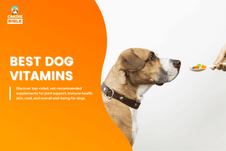 best dog vitamins