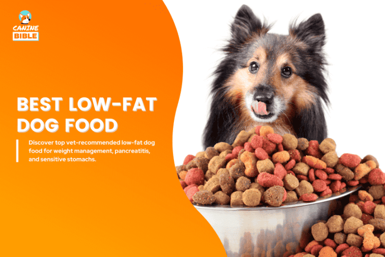 best low-fat dog food
