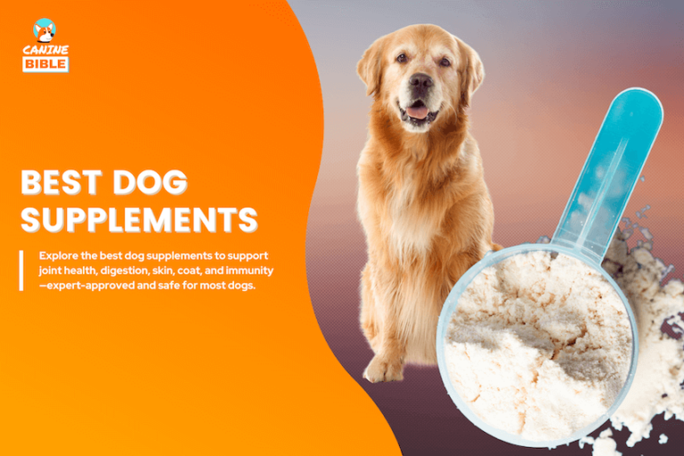 best dog supplements