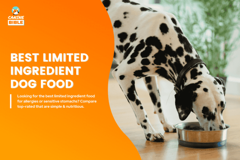 best limited ingredient dog food