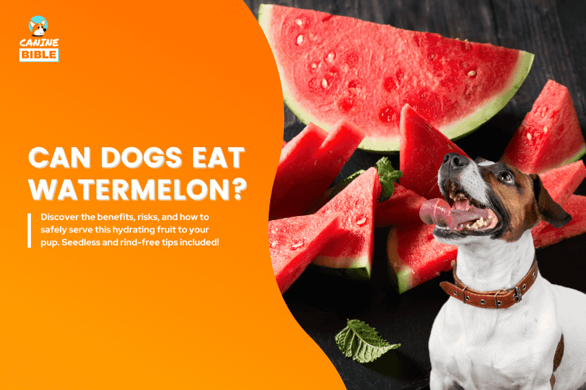 can dogs eat watermelon