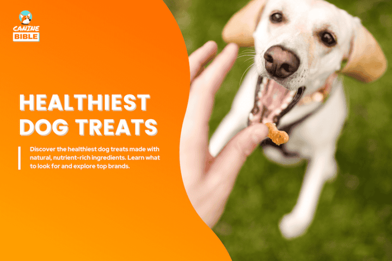 23 Healthiest Dog Treats in 2025: Vet-Recommended Brands
