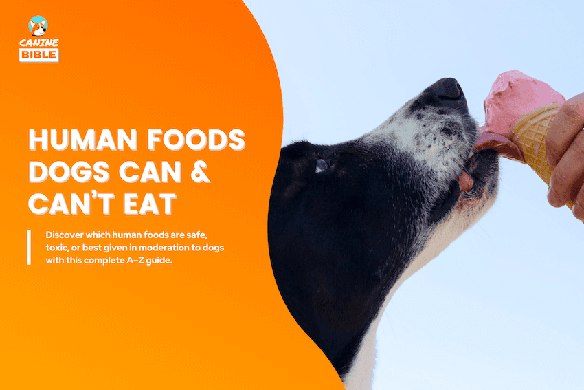 human foods dogs can eat