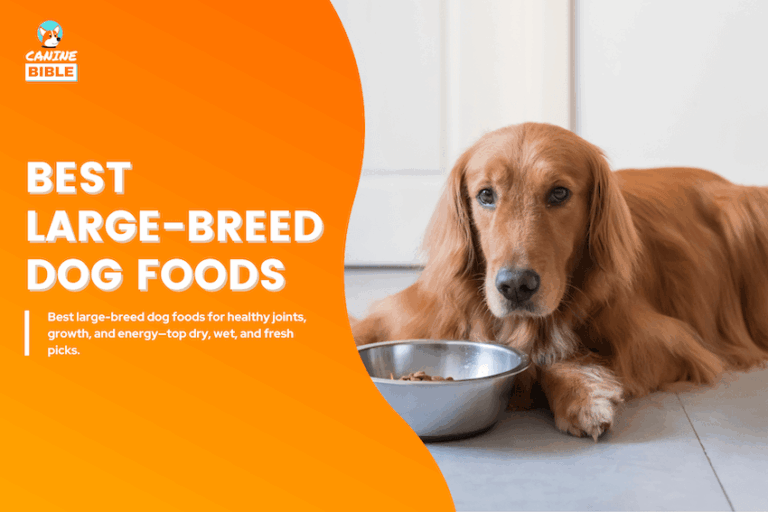 Best-Large-Breed-Dog-Foods