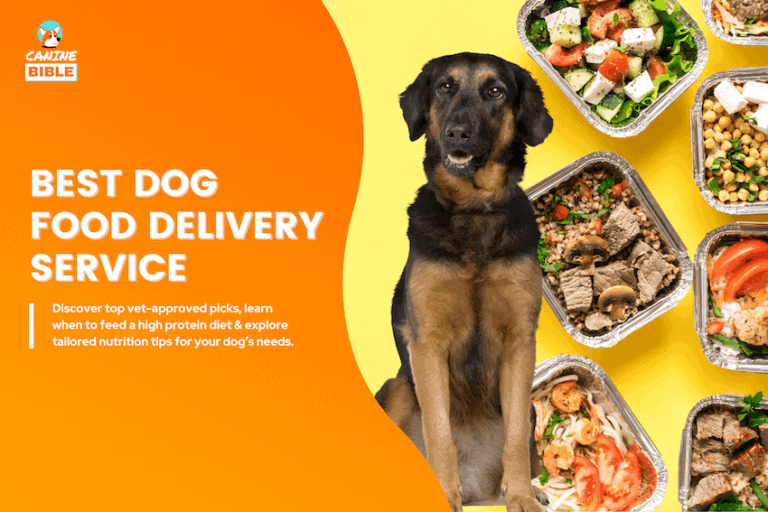 best dog food delivery service