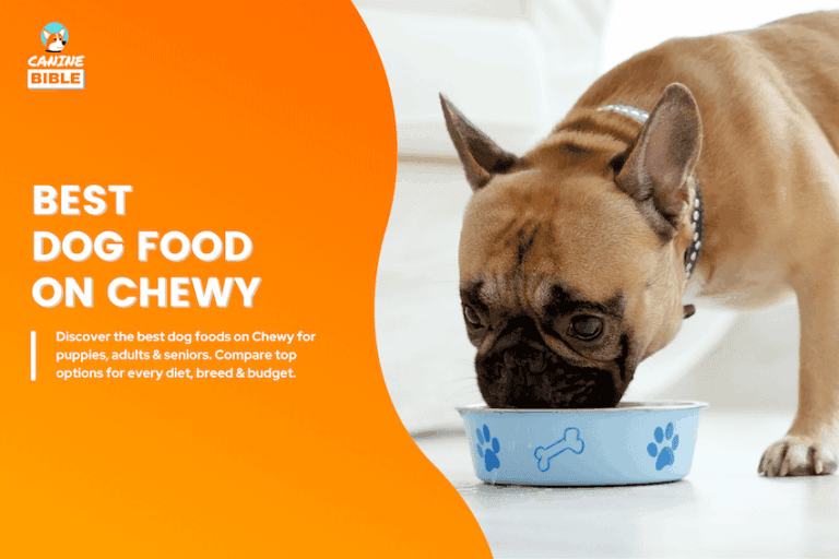 best dog food on chewy