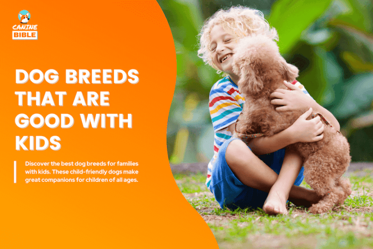 dogs for kids