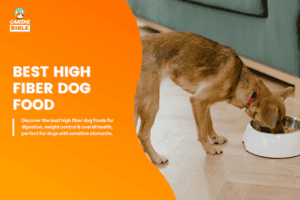 View of The 13 Best High Fiber Dog Foods 2026: Vet-Approved - Canine Bible