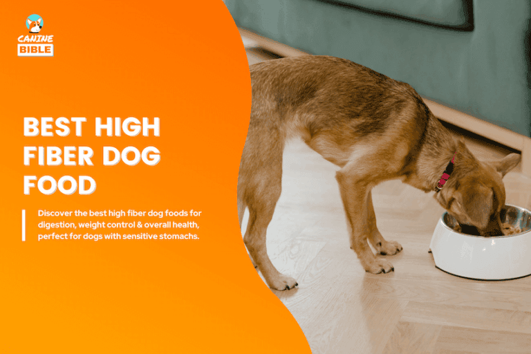 best high fiber dog foods