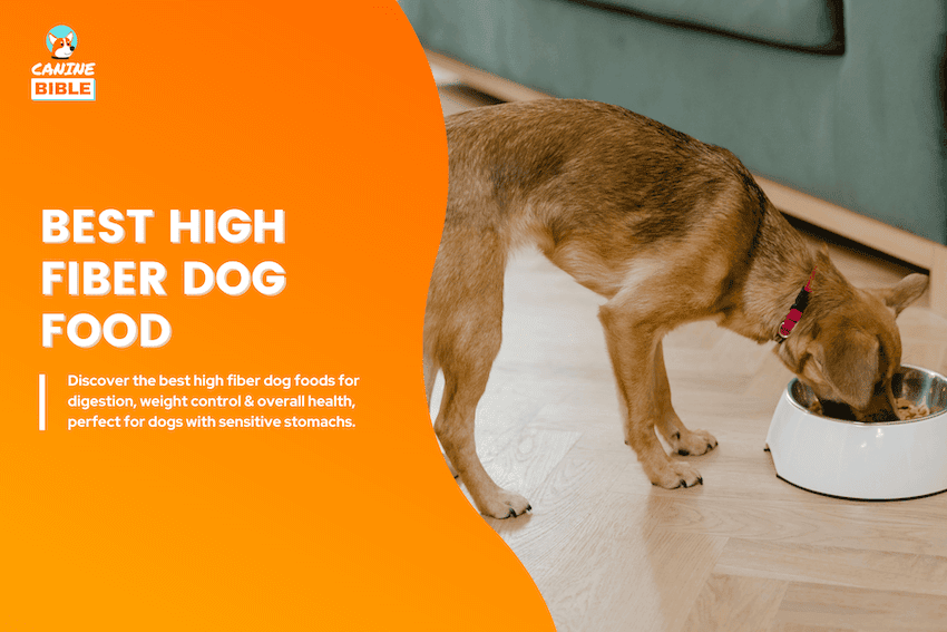 best high fiber dog foods