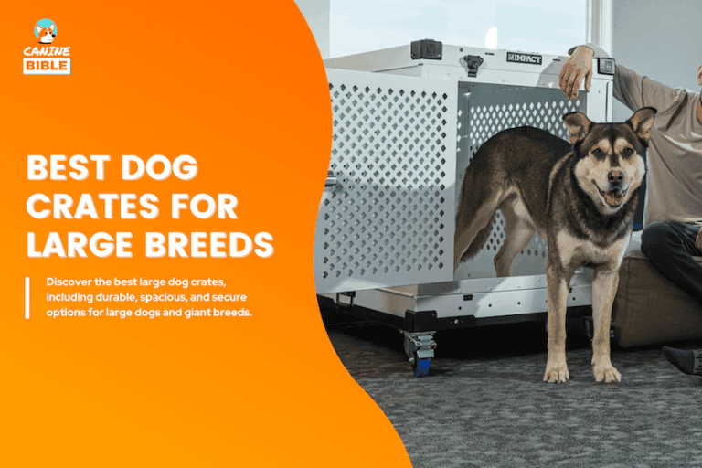 best large dog crates