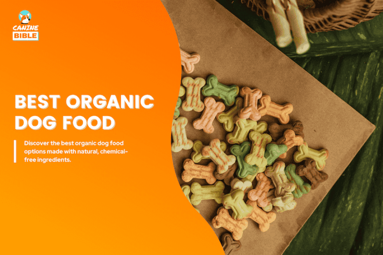best organic dog food