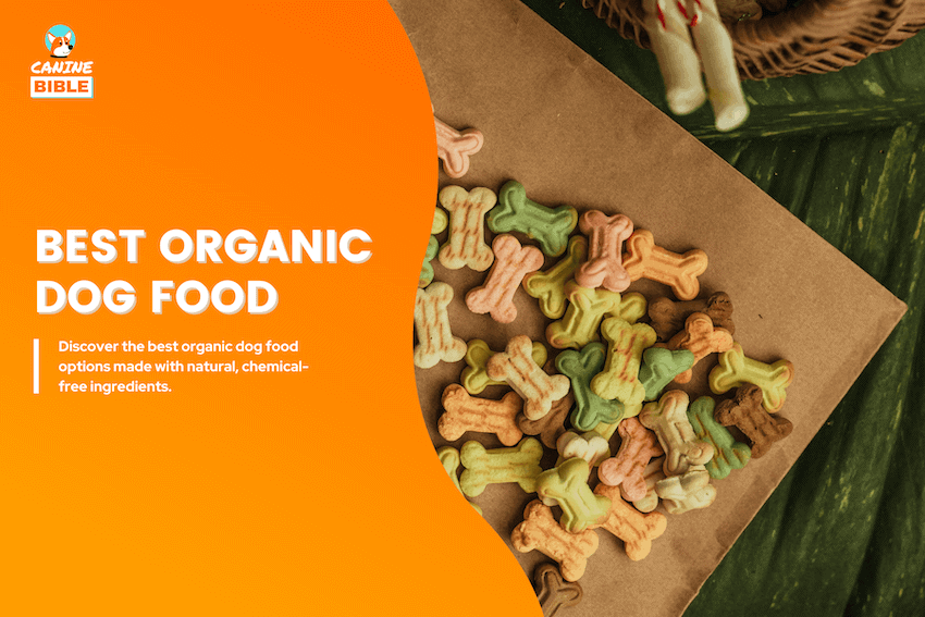 best organic dog food