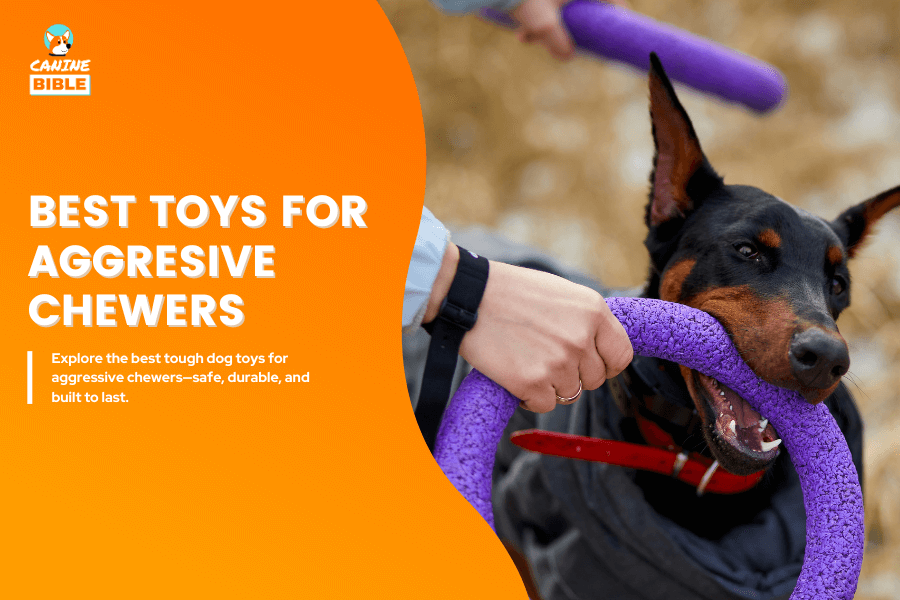 Best toys for aggressive chewers
