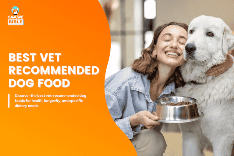 vet-recommended dog food